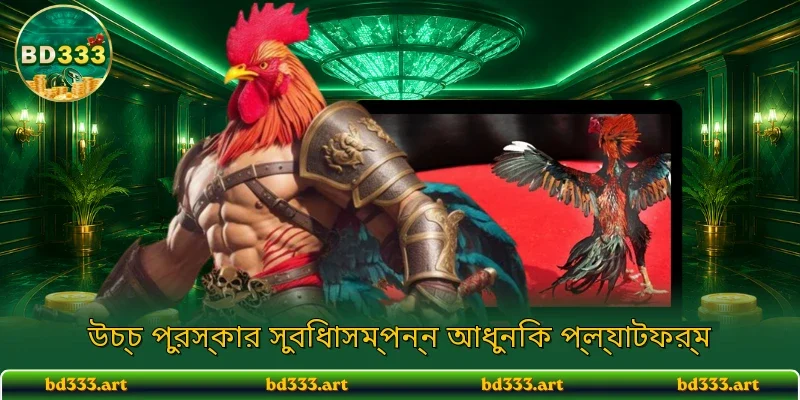 মোরগ লড়াই উচ্চমানের লাইভ সম্প্রচার প্রযুক্তি